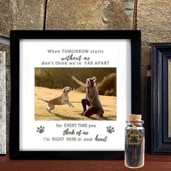 Gedenkfotolijst huisdier met glazen asbuisje - Herinneringen Voor Eeuwig – 23 x H 23 cm - Blijvende herinnering kat of hond - Bewaren van as - Bewaren plukjes vacht hond of kat - In memoriam foto lijst overleden huisdier