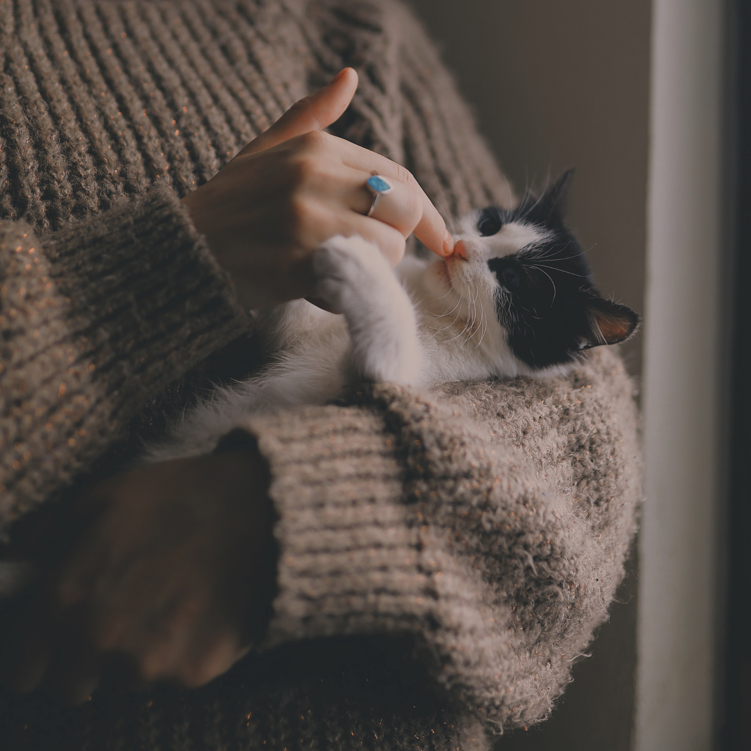 Trauer um Ihr Haustier – Eine Liebe, die Bestand hat