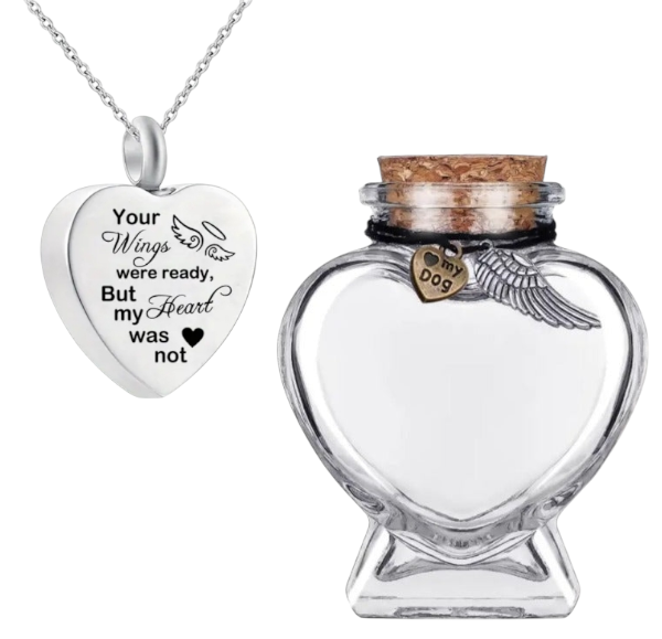 Herdenkingsset: Memorial flesje en Ashanger - Honden urn - Memorial Flesje - Blijvende herinnering hond - Moderne urn - Crematie urn - As urn - Huisdieren urn - Assieraad met ketting
