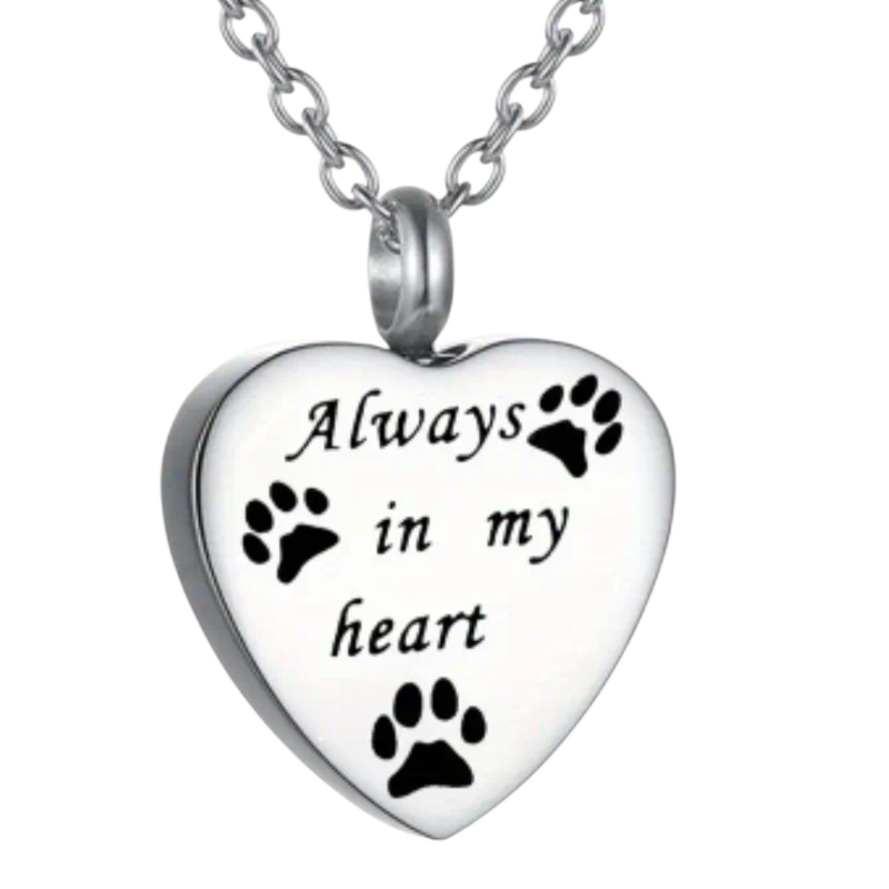 Stijlvolle hartvormige hanger in het zilverkleur, met pootafdrukjes en de tekst: "Always in my heart"